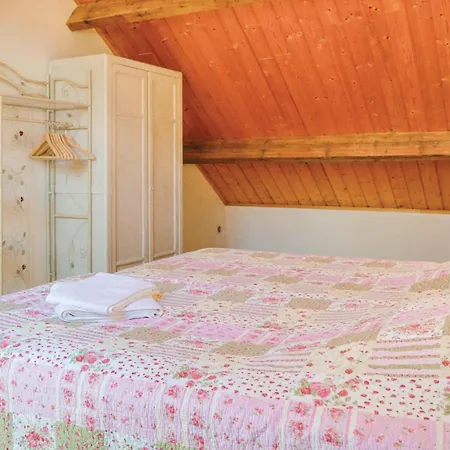 Les Renoncules Des Champs