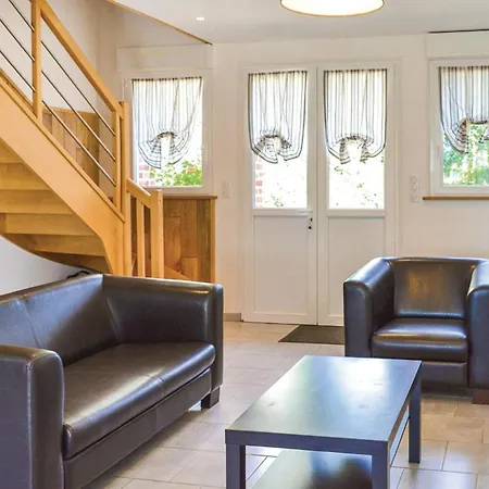 Les Renoncules Des Champs